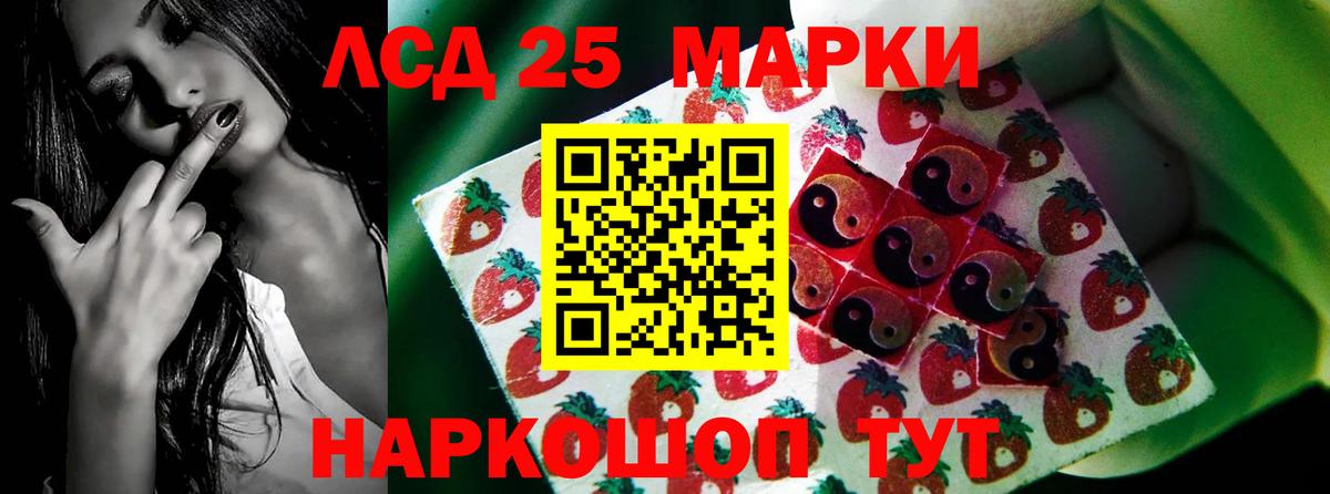 ЛСД экстази ecstasy  ЛСД экстази ecstasy  Лсд 25 экстази  ОМГ ОМГ tor  Вход с VPN  Курчатов 