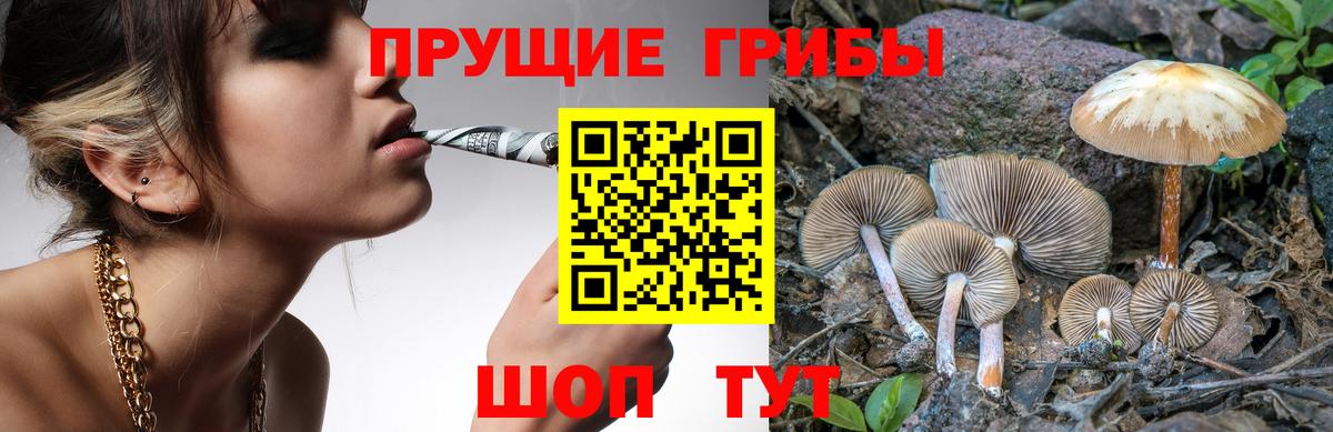 Галлюциногенные грибы MAGIC MUSHROOMS Курчатов