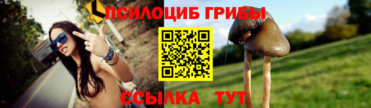 Псилоцибиновые грибы ЛСД  Вход с VPN  Курчатов  Галлюциногенные грибы Psilocybine cubensis 