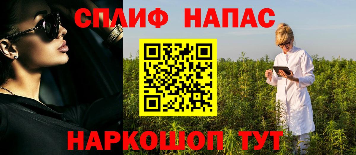 Конопля конопля Курчатов